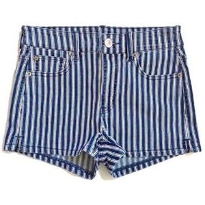 American Eagle Outfitters High-Rise Striped Blue Jean Shorts